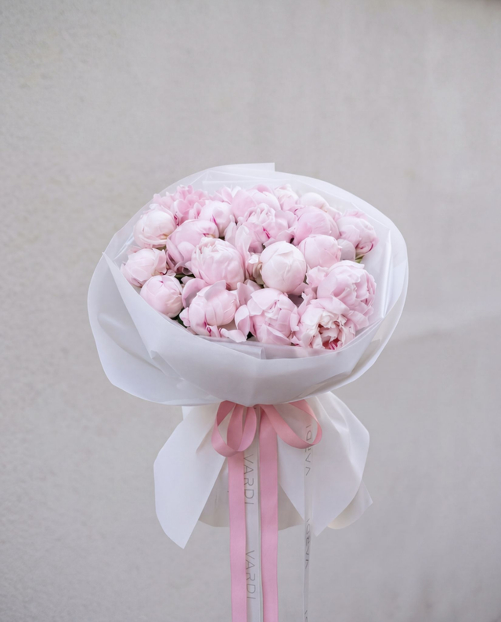 Blush Peony