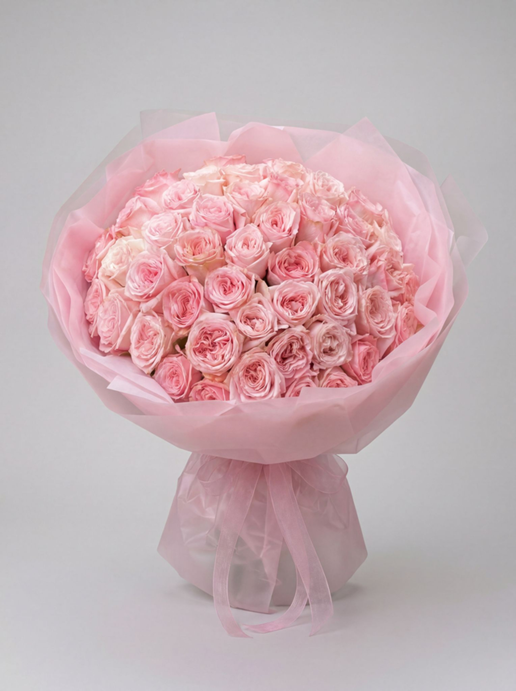 Pink O’Hara Devotion